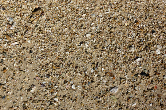 Pebbles on the beach, sand texture background