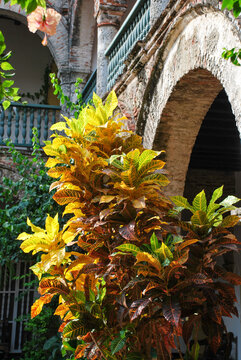 Convent of Santa Cruz de la Popa Cartagena-de-Indias