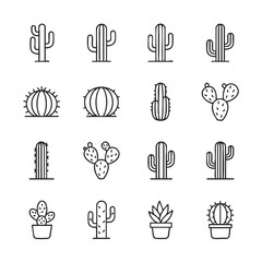 ICONES NORDESTINOS, NORDESTINO, NORDESTE, CEAR&Aacute;, ICONES DO NORDESTE, MANDACARU, CACTO, CACTOS, PLANTAS DA CAATINGA, PLANTAS NORDESTINAS