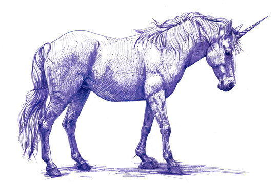 PNG Vintage drawing unicorn sketch animal mammal.