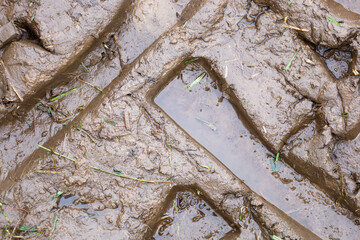 ​A close-up shot of deep, geometric tire tread marks filled with murky water in wet, heavy mud. The image emphasizes the texture of the rural off-road conditions and the effect of heavy machinery pass