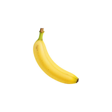 Ripe Cavendish Banana on a Black Backdrop
