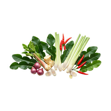 Fresh Thai Tom Yum Soup Ingredients on Black Backdrop