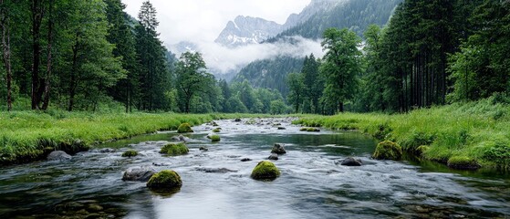 A clear, shallow stream flows through a vibrant green forest, with moss-covered rocks dotting the water and misty mountains rising in the distance.