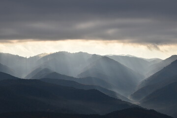 mountains in the fog