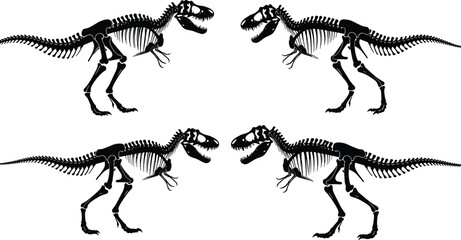 Detailed black vector silhouettes of Tyrannosaurus Rex skeletons facing left and right isolated on white background for prehistoric dinosaur history.