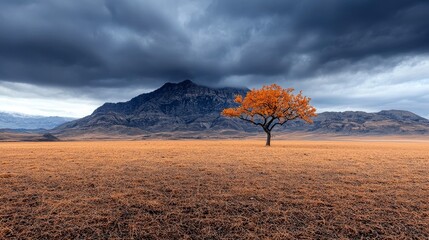 A lone tree with bright orange leaves stands in a dry, golden field with a large, dark mountain range under a stormy sky.