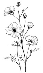 Fototapeta premium PNG Art illustration minimalist drawing.