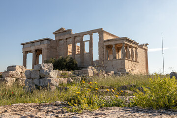 Obraz premium Athens, Greece. Yellow wildflowers in sharp focus on the Acropolis foreground with the blurred Caryatid Porch of the Erechtheion behind, highlighting the site's landscape and Ionic architecture