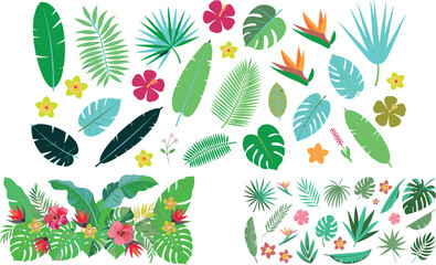 Tropical botanical leaf and flower illustration collection with monstera palm fern hibiscus plumeria exotic greenery elements in modern flat vector style