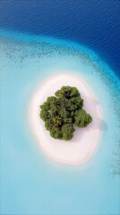 An isolated tropical island with dense green vegetation and white sandy shores is seen from above, surrounded by shallow turquoise water transitioning to deep b