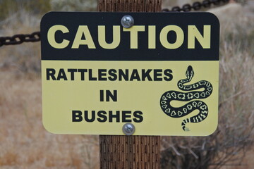 Achtung Klapperschlange im Joshua Tree Nationalpark