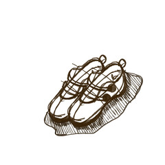 sketch of shoes