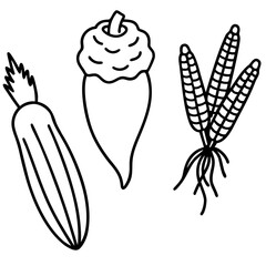 Simple line art drawing of three vegetables