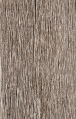 High-resolution weathered wood texture featuring rugged grain, earthy tones, and natural organic detail. Ideal for backgrounds, design projects, rustic themes, and nature-inspired visual compositions.