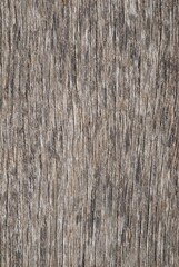 High-resolution weathered wood texture featuring rugged grain, earthy tones, and natural organic detail. Ideal for backgrounds, design projects, rustic themes, and nature-inspired visual compositions.