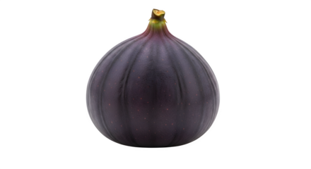 A single ripe dark purple fig fruit with a green stem isolated on transparent background