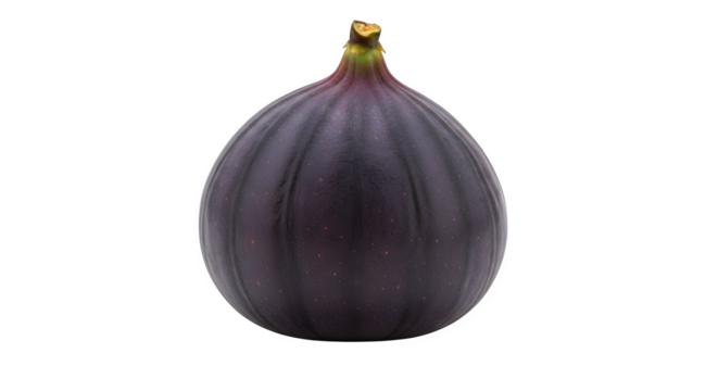 A single ripe dark purple fig fruit with a green stem isolated on transparent background