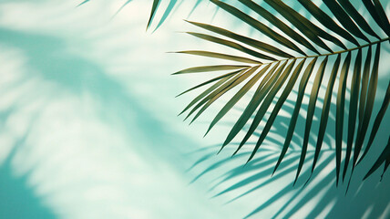 Green Palm Leaf Shadows Against Soft Turquoise Background