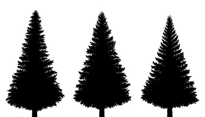 Fototapeta premium Black silhouette illustrations of fir trees isolated on transparent background, Christmas tree illustrations