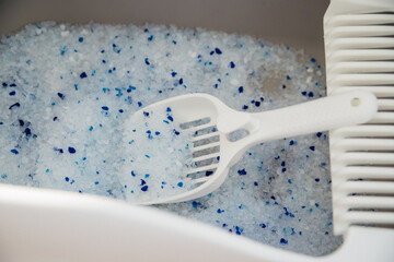 A container filled with cat litter. Cat toilet in the apartment, comfort for a pet.