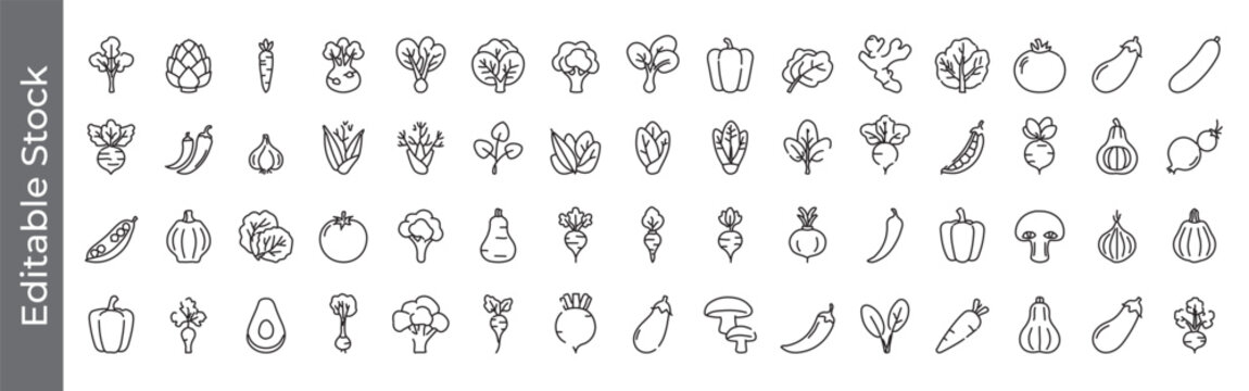 Mega collection of Organic fresh Vegetable and food line icon set &ndash; editable outline symbols of tomato, carrot, onion, pepper, mushroom, eggplant, and broccoli