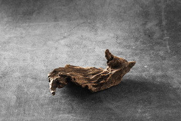 Unique Natural Piece of Driftwood on Minimalist Gray Background