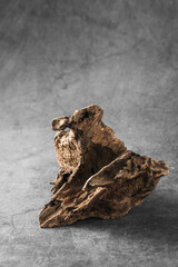 Rustic Natural Wood Piece on Textured Grey Background for Decor