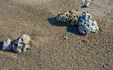 Old Coral Rocks on a Tan Sand Beach in Honolulu Hawaii.