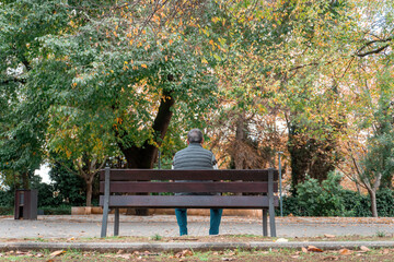 Senior man sitting alone on a wooden bench, viewed from behind, surrounded by lush trees and fallen leaves. Peaceful outdoor environment suggesting reflection or rest.