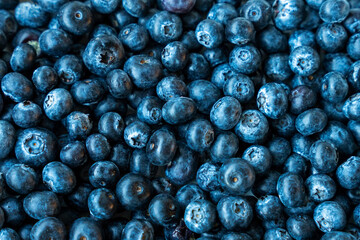 Fresh Blueberries
