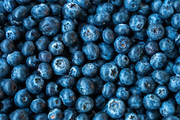 Fresh Blueberries
