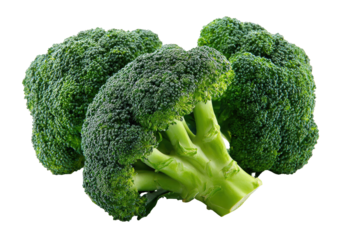 Fresh broccoli florets close-up