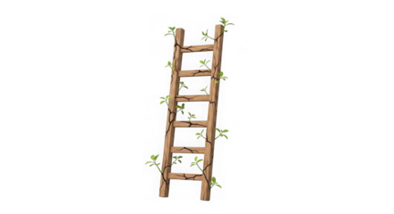 Cracked Wooden Ladder With Green Sprouts On Black