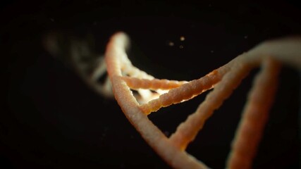 Dynamic DNA strand animation reveals genetic code, perfect for science education, medical research, and cutting-edge biotechnology presentations