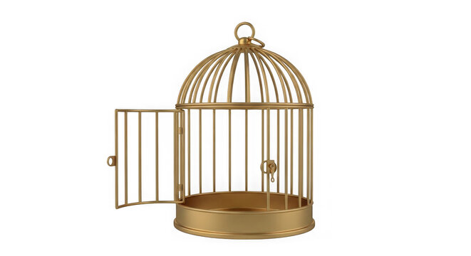 Open Golden Birdcage On Black Background