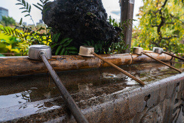 Close up shows ladles on bamboo rail above shallow stone basin at a Tokyo shrine garden. Water ripples and worn stone suggest ritual use as visitors prepare to pray.