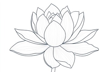 Obraz premium Minimalist illustration of a lotus flower with delicate petals blooming serenely, perfect for wellness and beauty projects