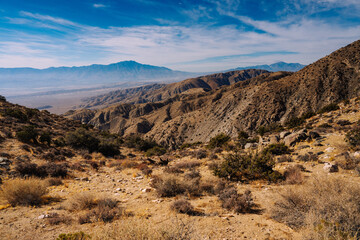 Joshua Tree, California 