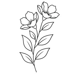 Elegant flower branch with leaves, line art