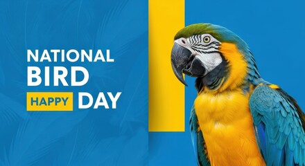 Colorful macaw parrot portrait featuring blue and yellow feathers celebrating National Bird Day