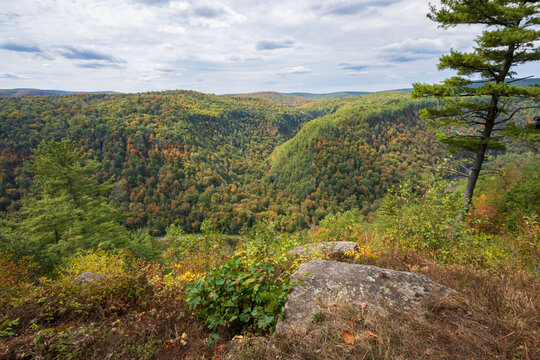 Pine Creek Gorge, or the Pennsylvania Grand Canyon