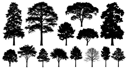 Obraz premium Silhouette Variety Black and White Tree Collection