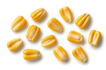A pile of yellow corn kernels isolated on white background