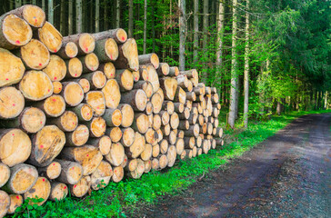 Stacked Scots Pine (Pinus sylvestris) wood logs harvested  from a sustainable man-made forest in the Bavarian countryside of Germany, showcasing eco-friendly forestry