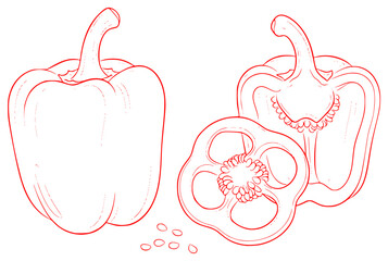 A line drawing of two bell peppers, one cut in half and one whole, bell pepper, draw, drawing, flower, illustration, pepper, seed, vegetable, against transparent background