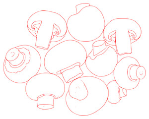 A black and white line drawing of various mushrooms arranged in a circular pattern, circle, draw, food, illustration, mushroom, pastry, sketch, snail, against transparent background