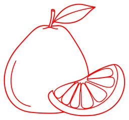 A line drawing of a pear and a slice of lemon, cut, grapefruit, half, illustration, leaf, lemon, orange, outline, slice, against transparent background