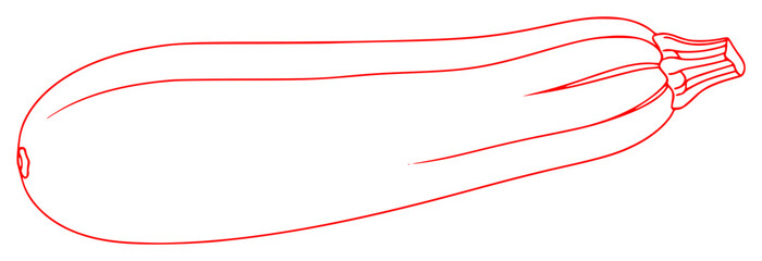 A line drawing of a zucchini, courgette, draw, drawing, eggplant, illustration, line, outline, squash, string, vegetable, against transparent background