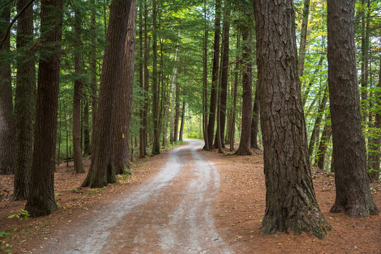 Pine Creek Gorge, or the Pennsylvania Grand Canyon - Powered by Adobe